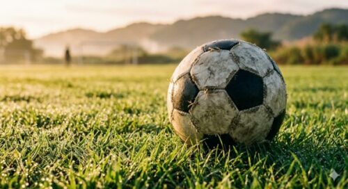 サッカーが好きな桜井さんをイメージした画像