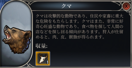 熊の詳細